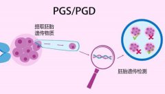 造成兔唇的因素，及预防措施