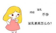 泌乳素高可以做试管吗