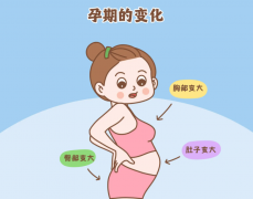 孕早期该注意什么问题？